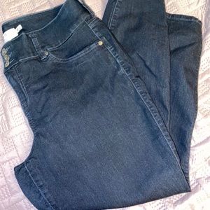 Torrid Jegging 18s